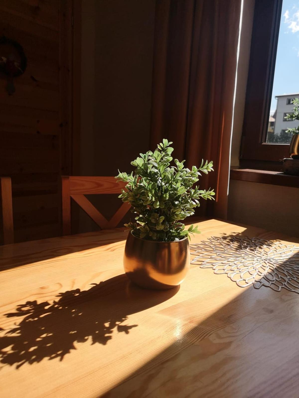 Zwardoniowka Apartamenty Pod Orawcowa Esterno foto